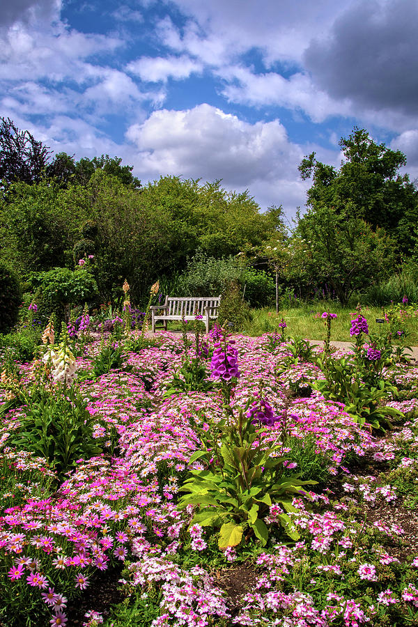 Flower Photograph - Restful Spot in the Garden by Lynn Bauer