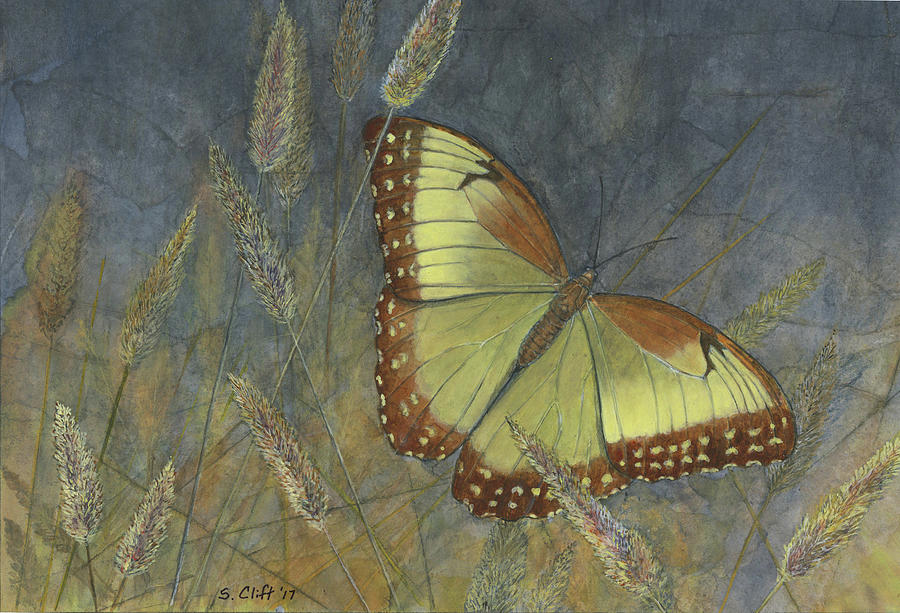 Resting Butterfly Mixed Media by Sandy Clift