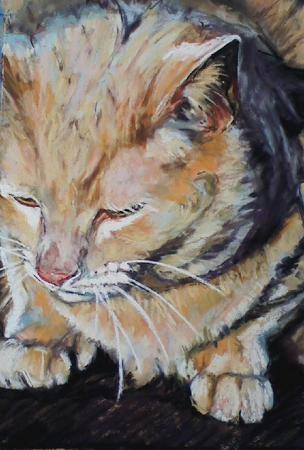 Resting Cat Painting by Michelle Winnie - Fine Art America