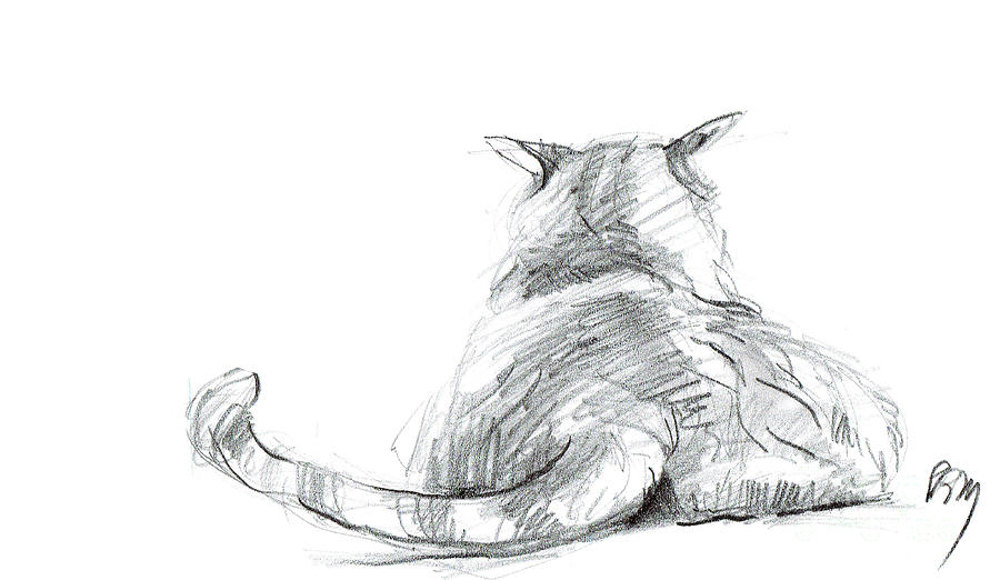 Resting Cat Drawing by Paul Miller - Fine Art America