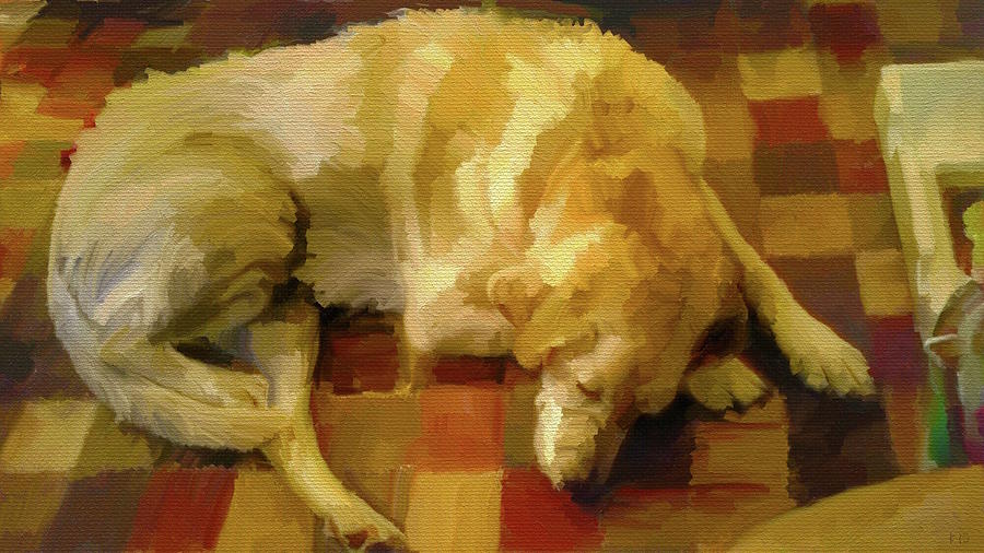Resting Dog on a Carpeted Floor Digital Art by Todd Van Buskirk