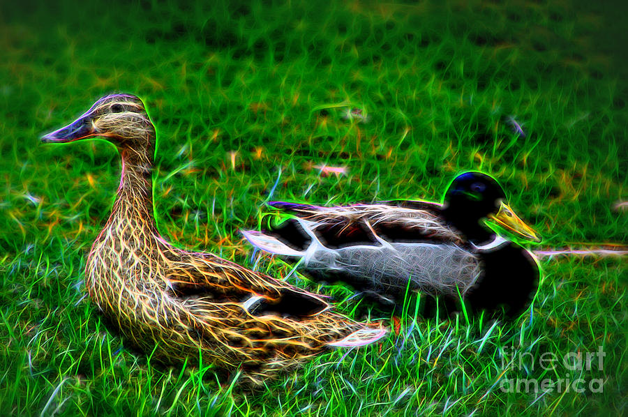 Duck Photograph - Resting Ducks by Mariola Bitner