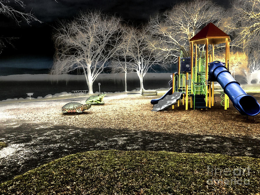 Resting Lakeside Playground Photograph by William Norton