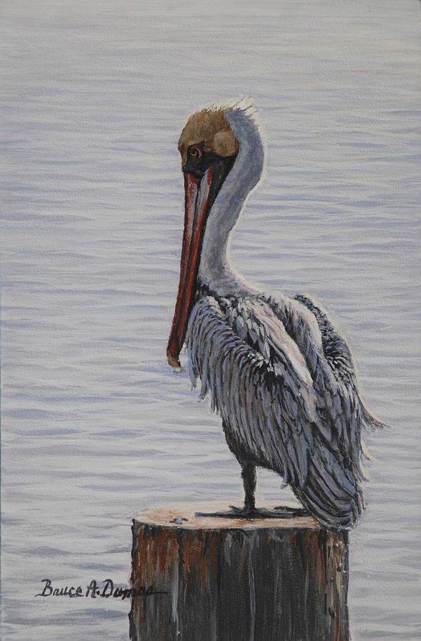 Resting Pelican Painting by Bruce Dumas