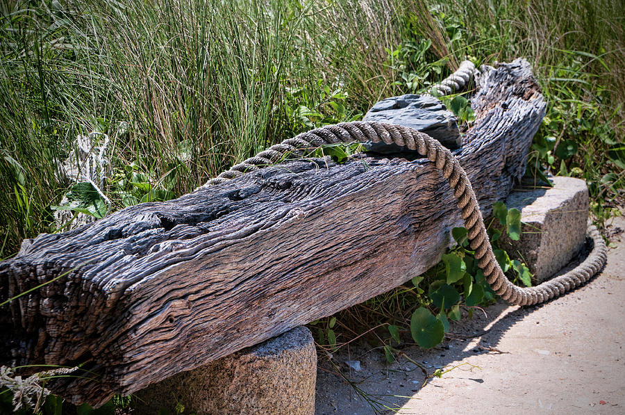 Rope Photograph - Resting place by Phyllis Taylor