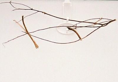 Bird Sculpture - Resting by Randy Conyers Bird Sculpture - Resting by Randy Conyers