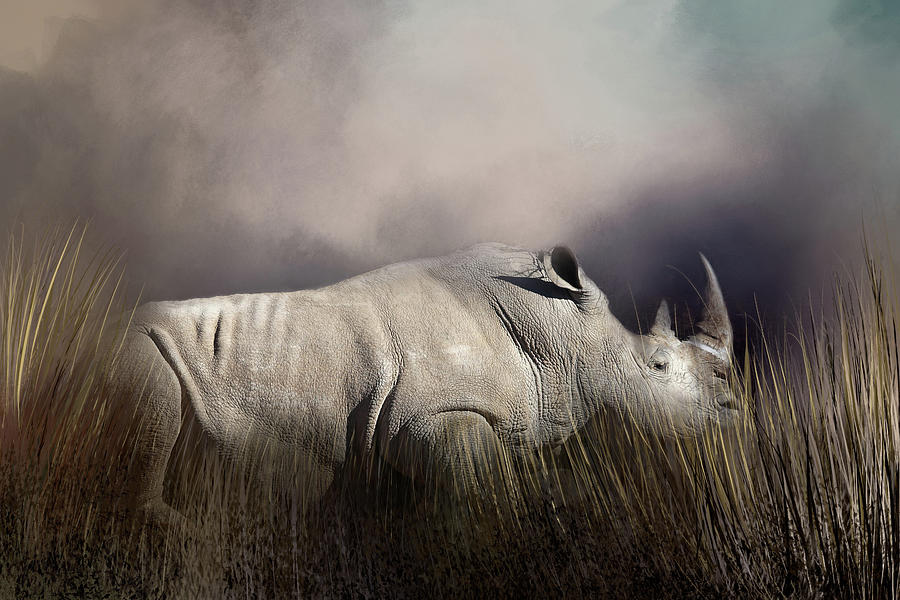 Wildlife Photograph - Resting Rhino by Donna Kennedy