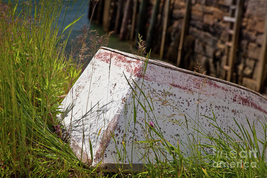Resting Rowboat Photograph by Susan Cole Kelly