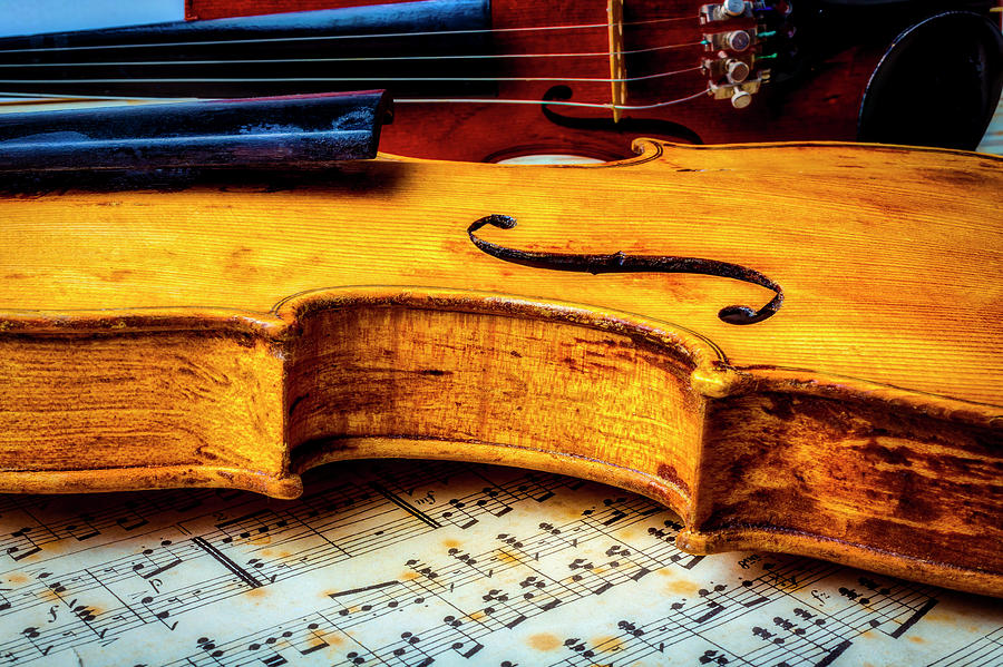Resting Violin Photograph by Garry Gay