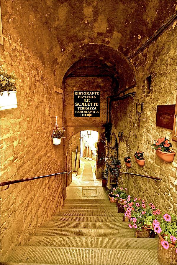 Restaurant Steps to Italian Panorama Photograph by Femina Photo Art By Maggie