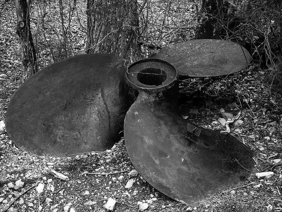 Restrained Propulsion Bw Photograph By Ginger Repke Fine Art America