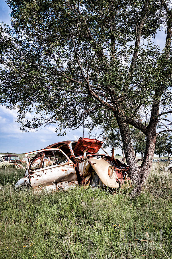 Retired Bug Photograph by Lawrence Burry