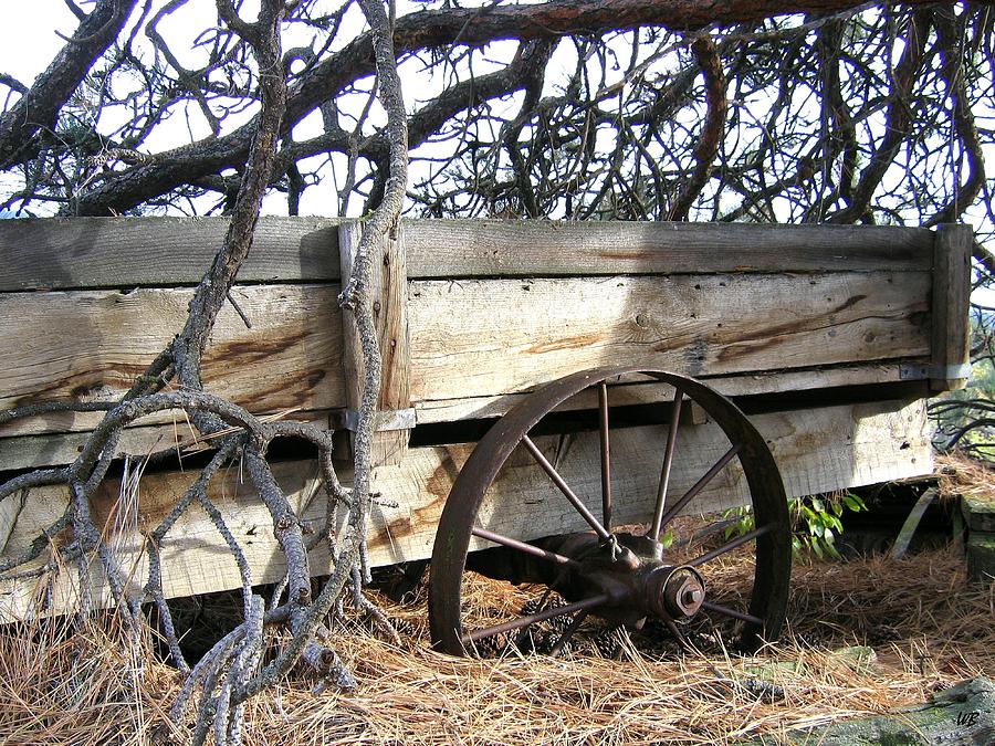 Retired Farm Wagon Photograph by Will Borden