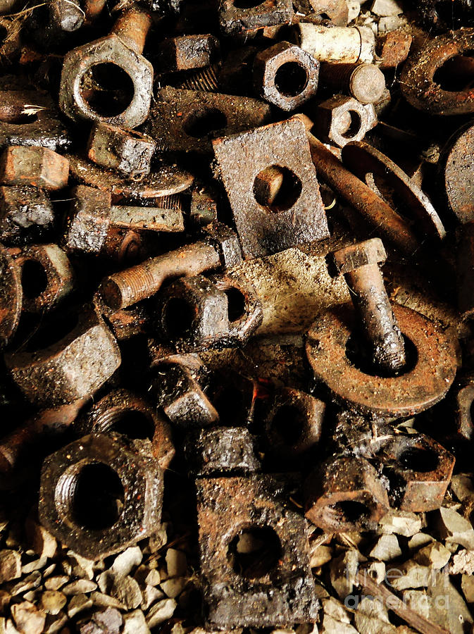 Retired Nuts and Bolts Photograph by Lexa Harpell