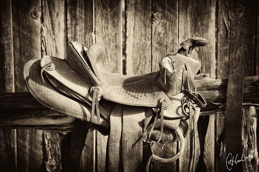 Retired Saddle Photograph by Christine Hauber