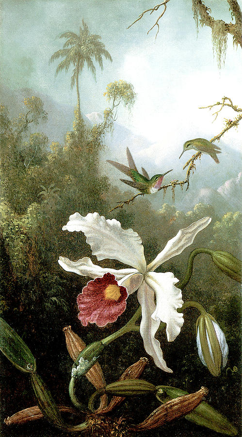 Retouched Masters - Orchid and Hummingbirds in tropical forest Painting by Audrey Jeanne Roberts