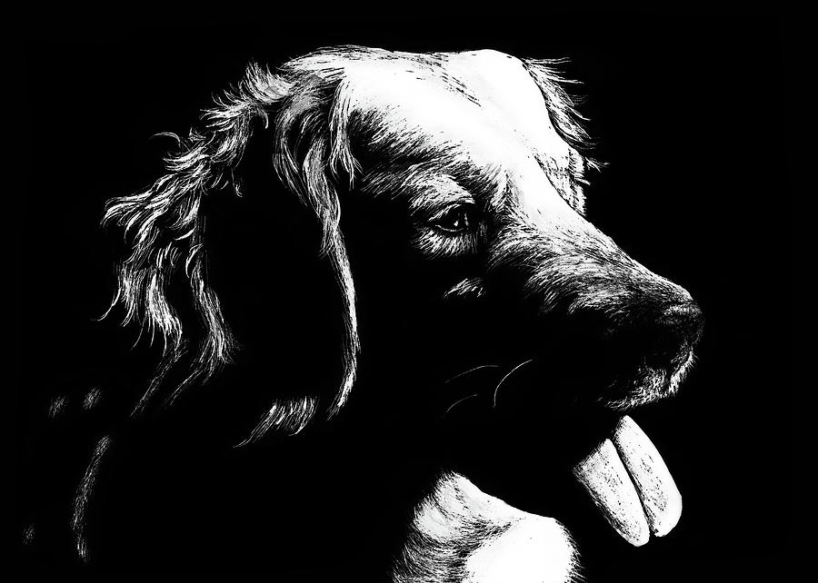 Retriever by Monique Morin Matson Retriever by Monique Morin Matson