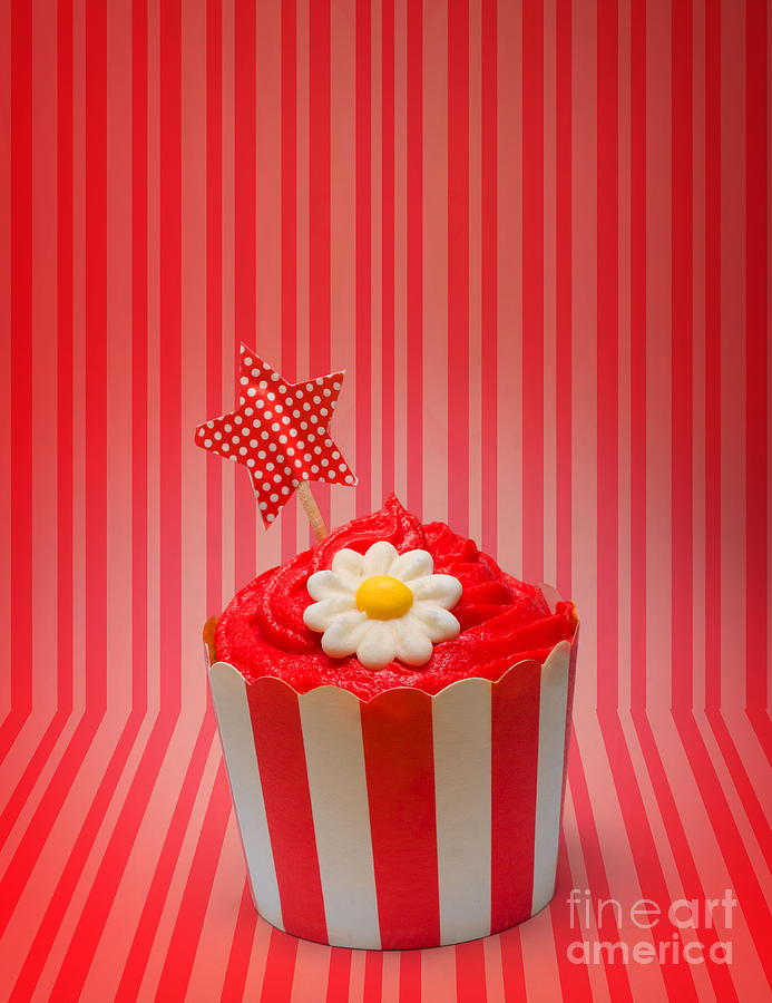 Retro cupcake with star and flower icing Photograph by Jorgo Photography