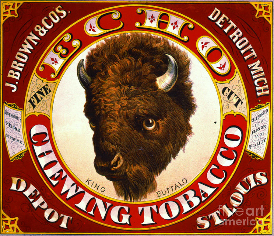 Retro Tobacco Label 1873 a Photograph by Padre Art
