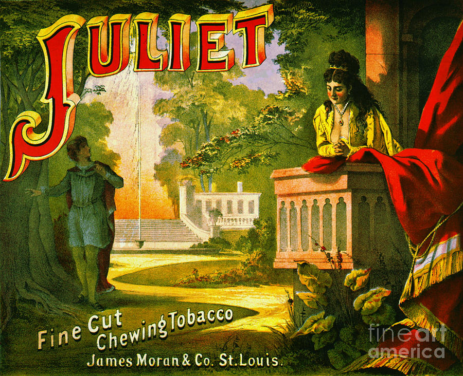 Retro Tobacco Label 1873 Photograph by Padre Art