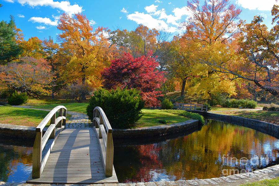 Return to Autumn Photograph by Tammie Miller