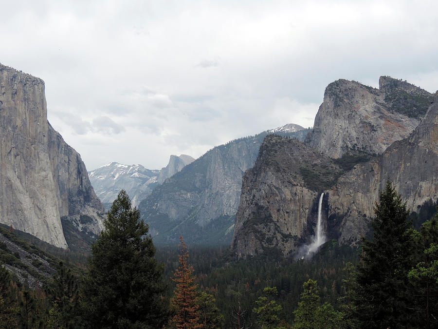 Return To Yosemite Photograph by Eric Forster