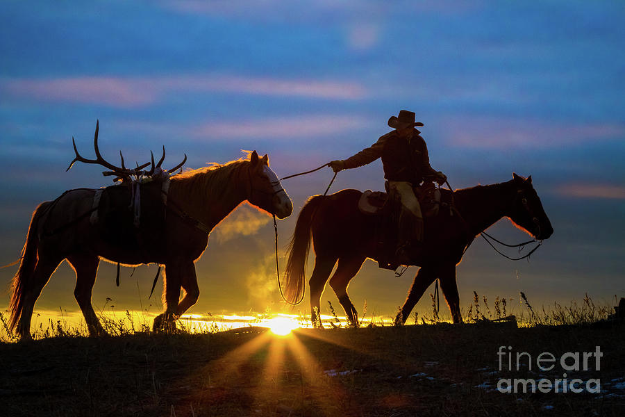Horse Photograph - Returning Home by Inge Johnsson