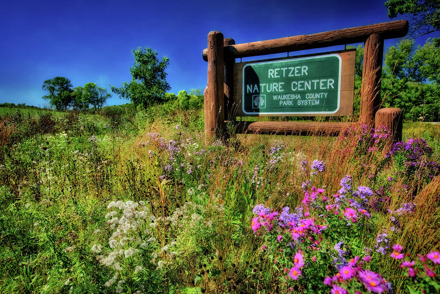Nature Photograph - Retzer Nature Center Sign and Wildflowers  by Jennifer Rondinelli Reilly - Fine Art Photography