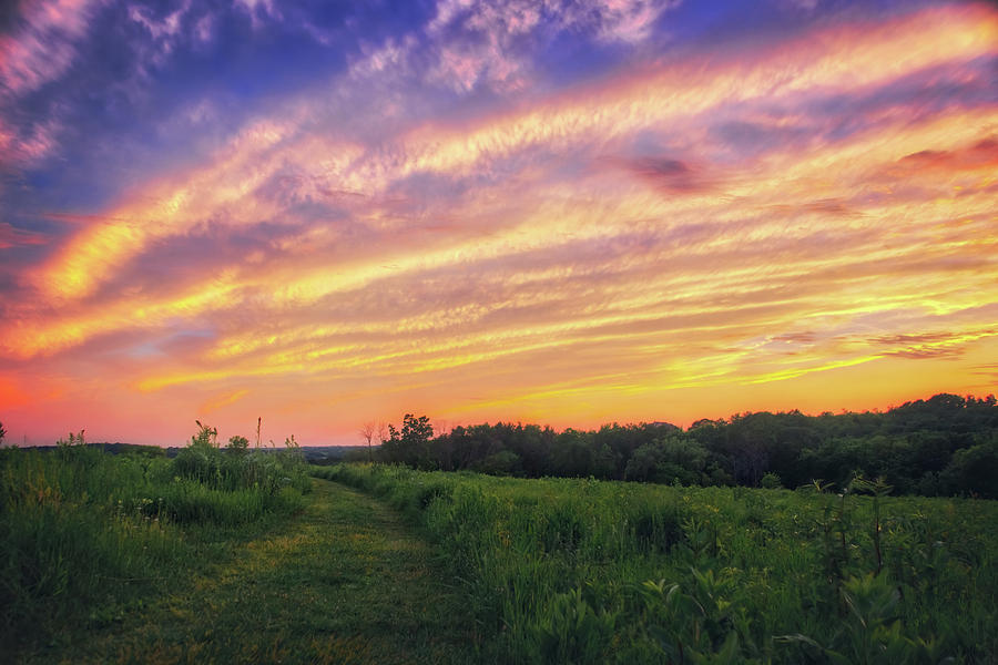 Retzer Nature Center - Summer Sunset #4  Photograph by Jennifer Rondinelli Reilly - Fine Art Photography