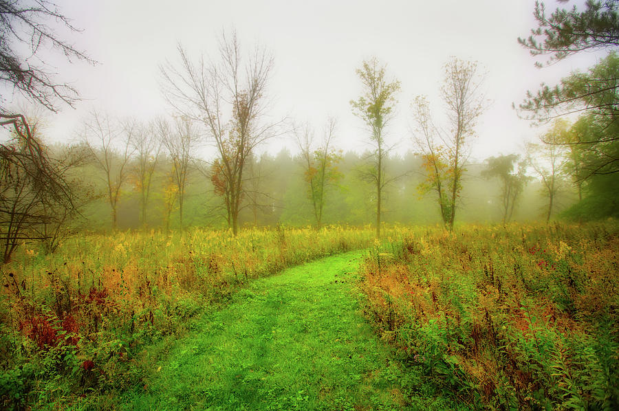 Retzer Nature Center Trail in utumn Photograph by Jennifer Rondinelli Reilly - Fine Art Photography