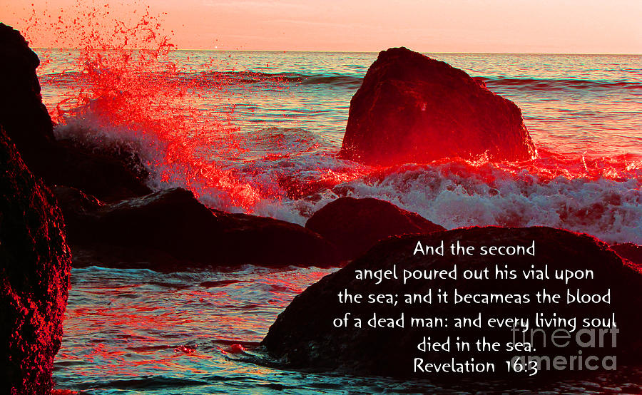 Revelation 16 3 Bible Photograph by Ron Tackett