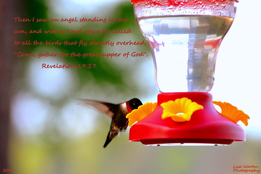 Revelation 19 17 Hummingbird Photograph by Lisa Wooten