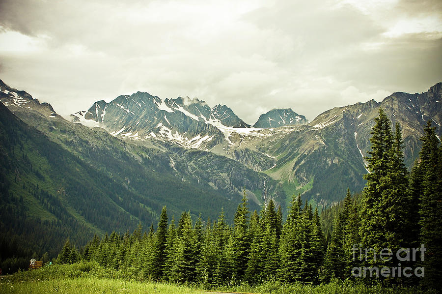 Revelstoke   British Columbia Photograph by Elaine Manley