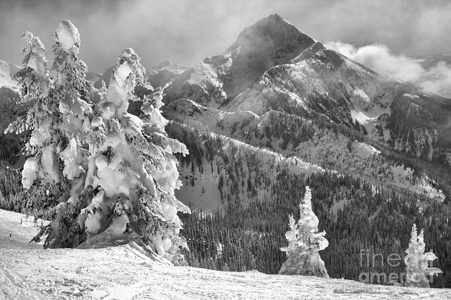 Revelstoke Snow Ghosts Black And White Photograph by Adam Jewell