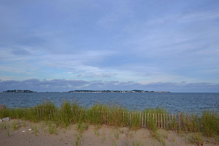 Revere Beach wooden fence bird sanctuary Photograph by Toby McGuire
