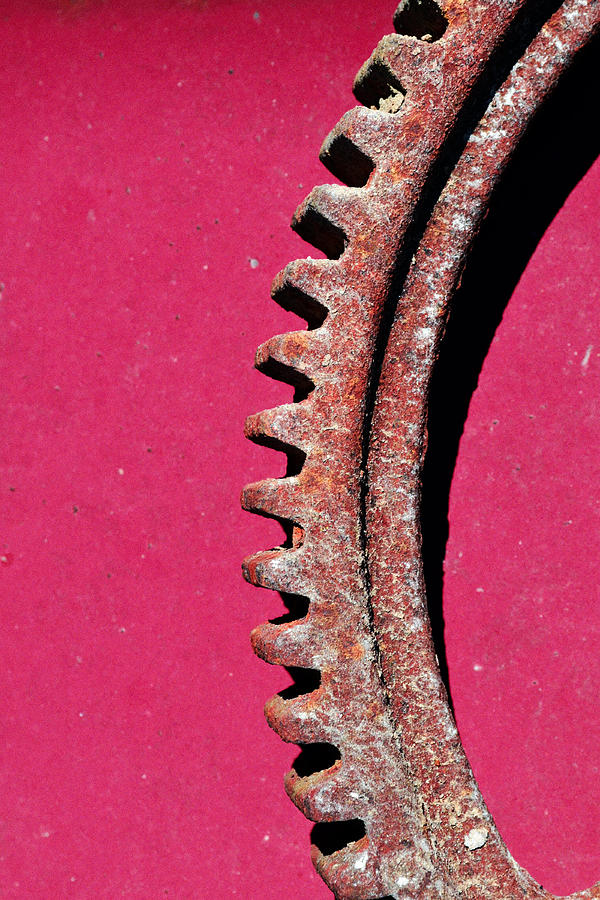 Tool Photograph - Reverse Gear...machinery by Tom Druin