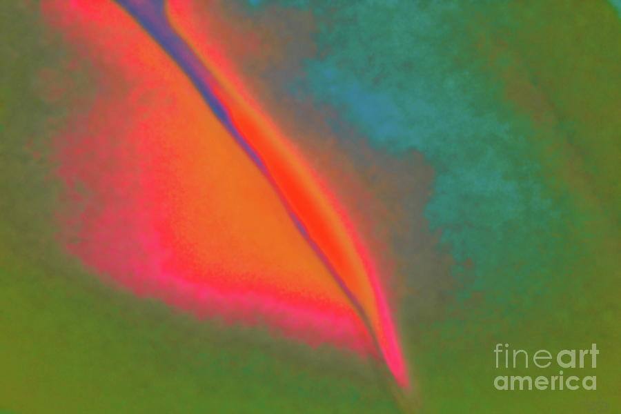 Reverse rainbow green sky Digital Art by Priscilla Batzell Expressionist Art Studio Gallery