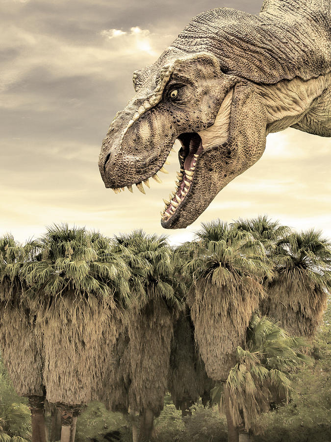 VALLEY OF THE DINOSAURS Coachella Valley Photograph by William Dey ...