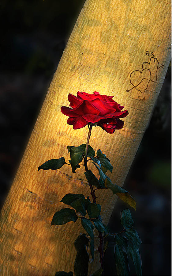 Love Photograph - RG Loves CA by Richard Gordon Love Photograph - RG Loves CA by Richard Gordon