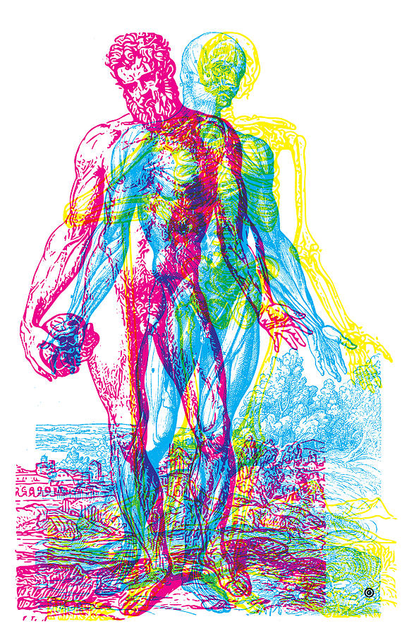 Skeleton Digital Art - RGB Anatomy by Gary Grayson