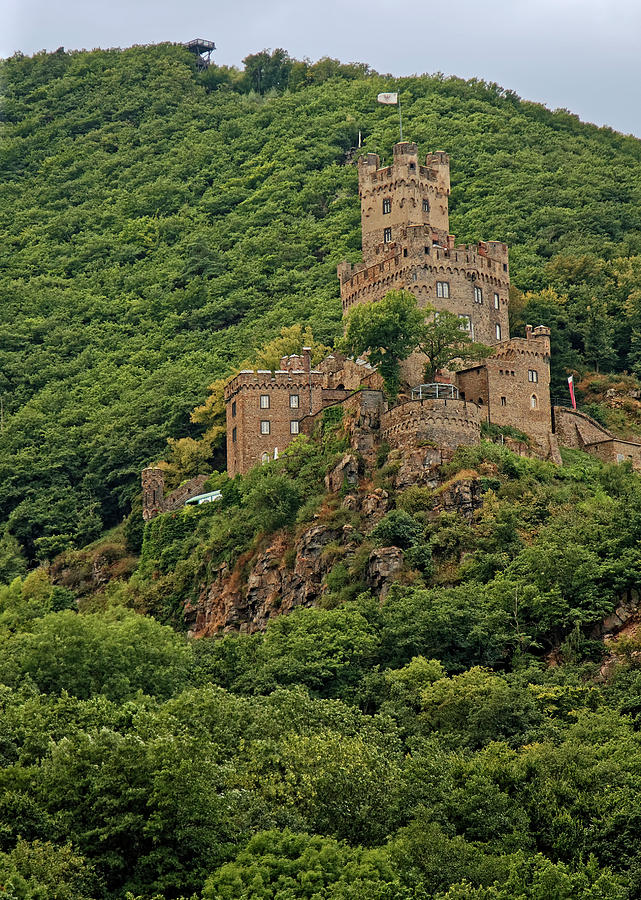 Rhine Castle on Hillside Photograph by Sally Weigand