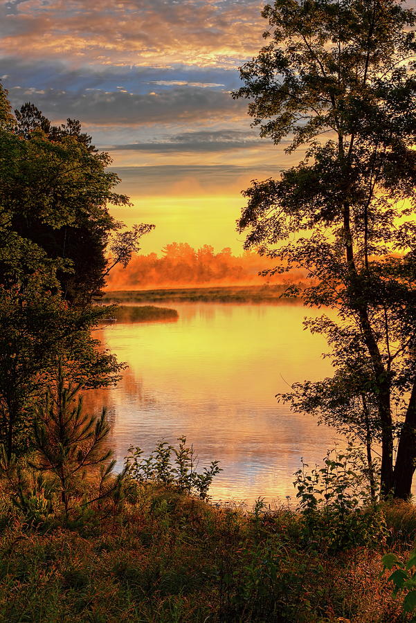Rhinelander Flowage Golden Sunrise  Photograph by Dale Kauzlaric