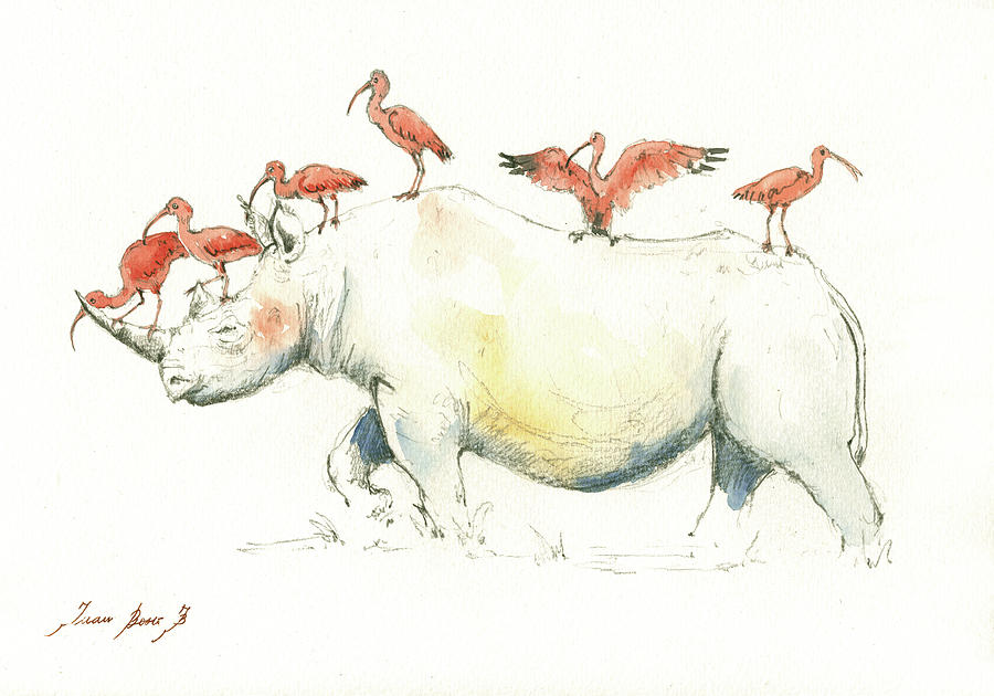Rhino Painting - Rhino and ibis by Juan Bosco