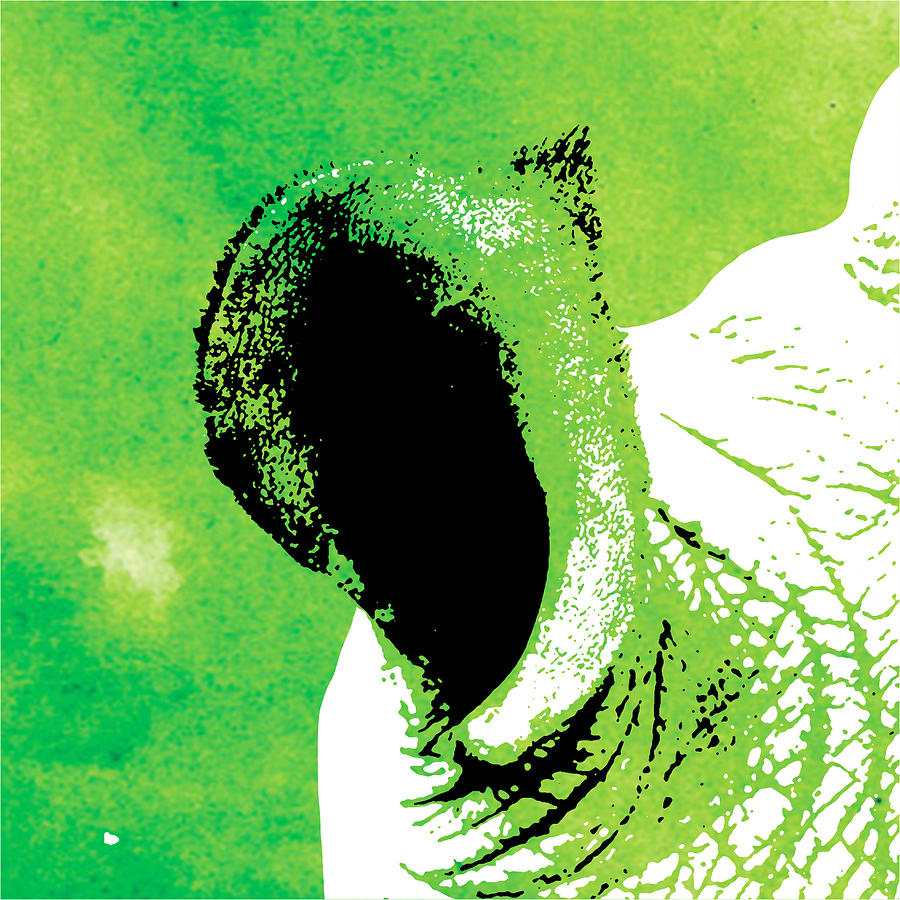 Animal Painting - Rhino Animal Decorative Green Poster 3 - by  Diana Van by Diana Van