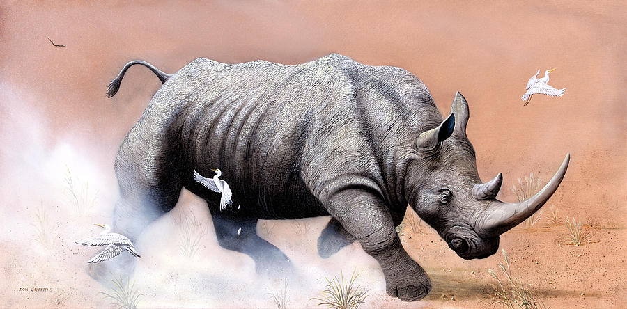 Wildlife Painting - Rhino by Don Griffiths