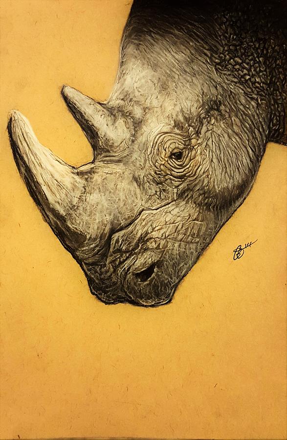 Animal Drawing - Rhino by Gilca Rivera
