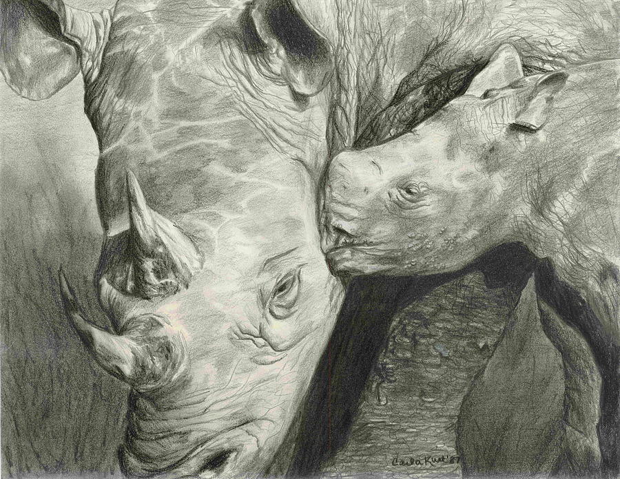 Rhino Love Drawing by Carla Kurt