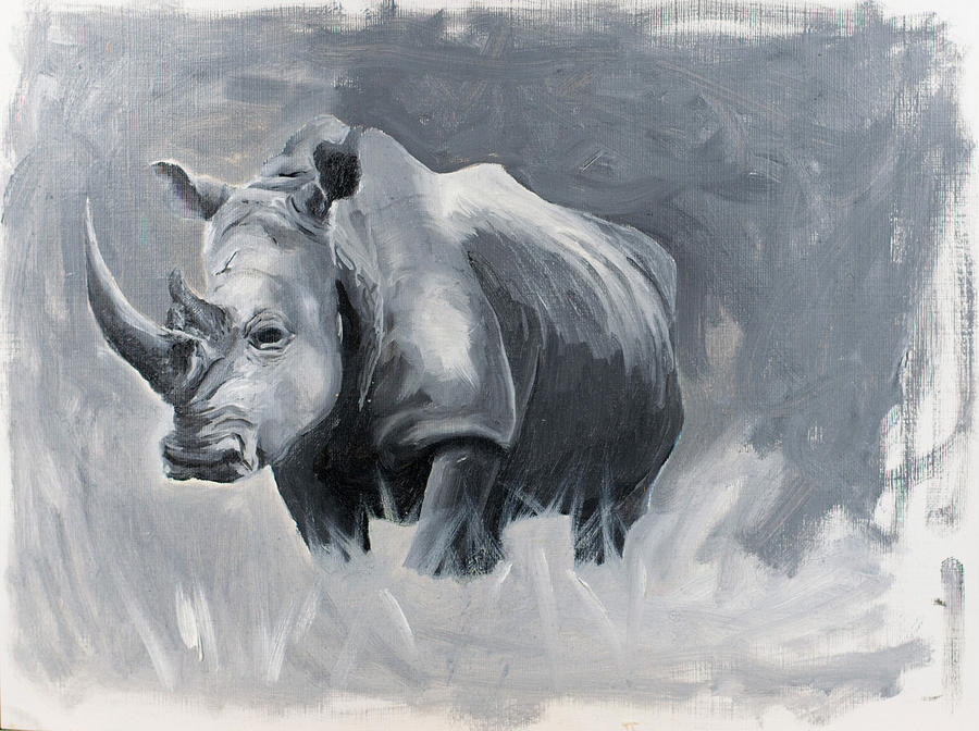 Rhino Photograph by Jacey Russell - Fine Art America