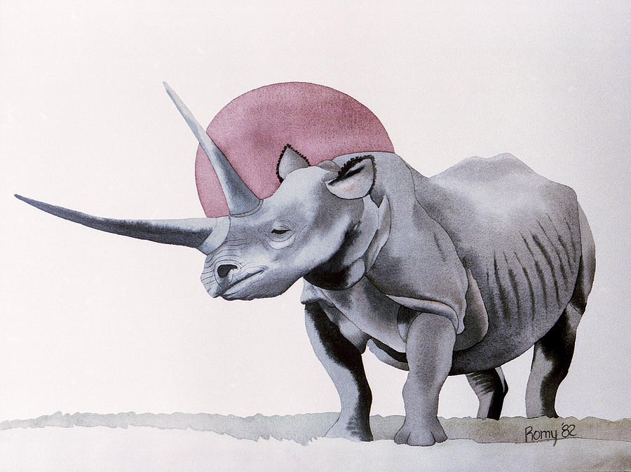 Rhino Painting - Rhino by Romy Muirhead