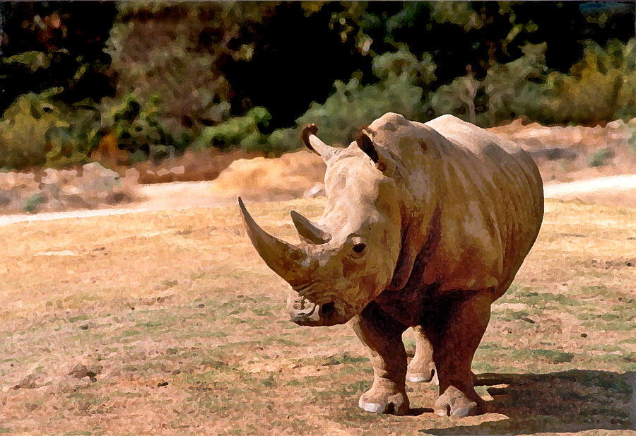 Rhino Painting by Steve Karol